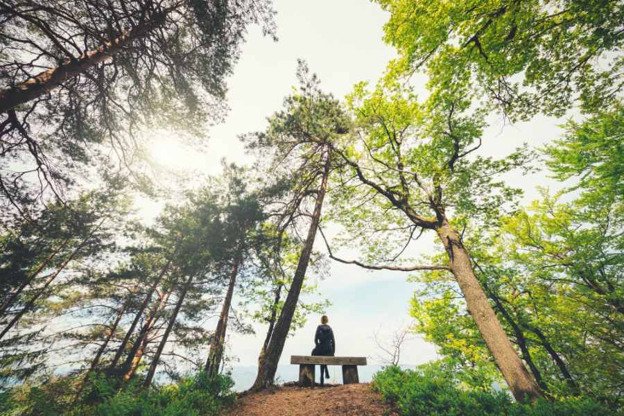 Beneficios del mindfulness Beneficios del mindfulness